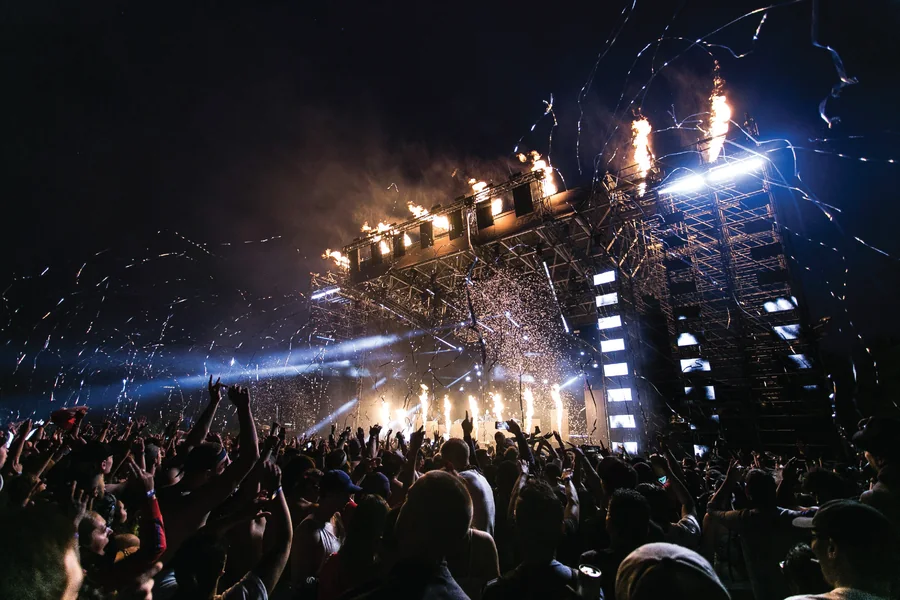 Crowd at a large live concert